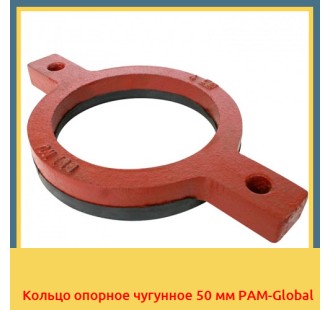Кольцо опорное чугунное 50 мм PAM-Global