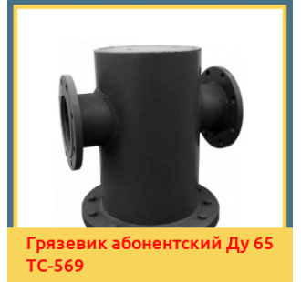 Грязевик абонентский Ду 65 ТС-569 в Петропавловске