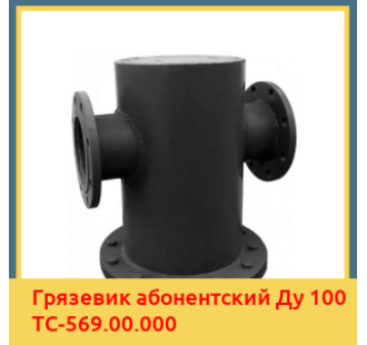 Грязевик абонентский Ду 100 ТС-569.00.000 в Петропавловске