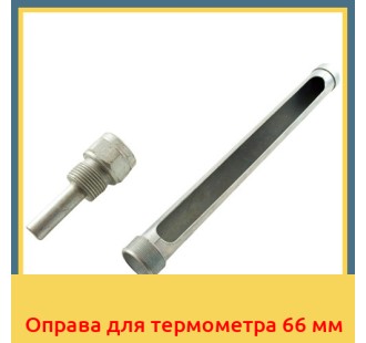 Оправа для термометра 66 мм в Петропавловске