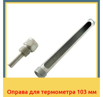 Оправа для термометра 103 мм в Петропавловске