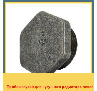 Пробка глухая для чугунного радиатора левая в Петропавловске
