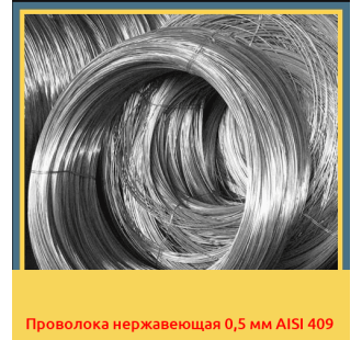 Проволока нержавеющая 0,5 мм AISI 409 в Петропавловске