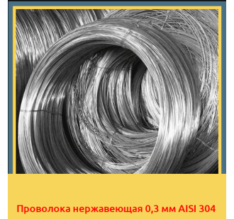 Проволока нержавеющая 0,3 мм AISI 304 в Петропавловске