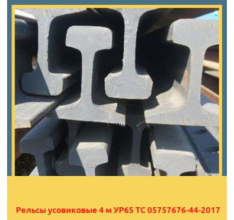 Рельсы усовиковые 4 м УР65 ТС 05757676-44-2017 в Петропавловске
