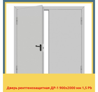 Дверь рентгенозащитная ДР-1 900х2000 мм 1,5 Pb в Петропавловске
