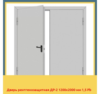 Дверь рентгенозащитная ДР-2 1200х2000 мм 1,5 Pb в Петропавловске