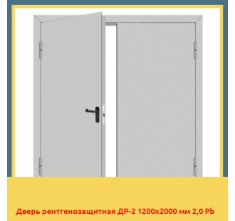 Дверь рентгенозащитная ДР-2 1200х2000 мм 2,0 Pb в Петропавловске