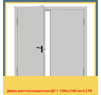 Дверь рентгенозащитная ДР-1 1300х2100 мм 0,5 Pb