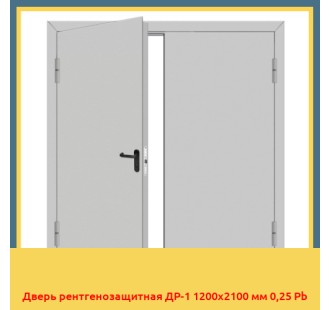 Дверь рентгенозащитная ДР-1 1200х2100 мм 0,25 Pb