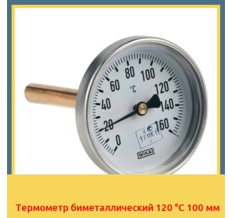 Термометр биметаллический 120 °С 100 мм в Петропавловске