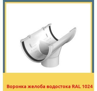 Воронка желоба водостока RAL 1024 в Петропавловске