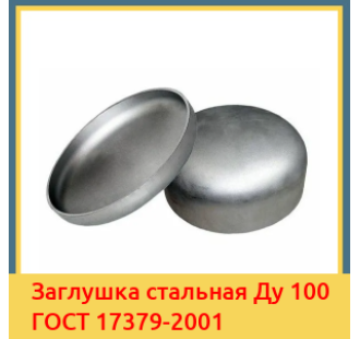 Заглушка стальная Ду 100 ГОСТ 17379-2001 в Петропавловске